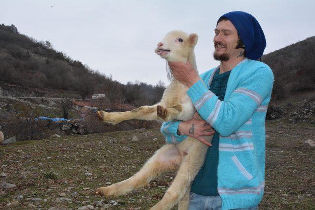 Şehir hayatını terk edip, huzuru ormanda buldular