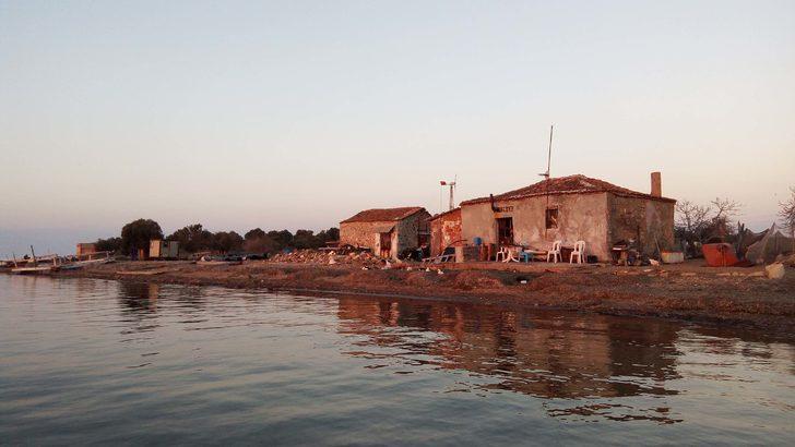 15 yıldır adada yaşıyor! Yerleşim bölgesine sadece 600 metre uzakta ama... G4