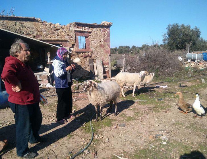 15 yıldır adada yaşıyor! Yerleşim bölgesine sadece 600 metre uzakta ama... G3