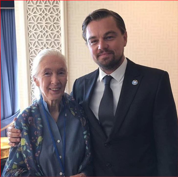  JANE GOODALL: BİLİM DÜNYASINA YENİ SAYFALAR AÇTIRDI