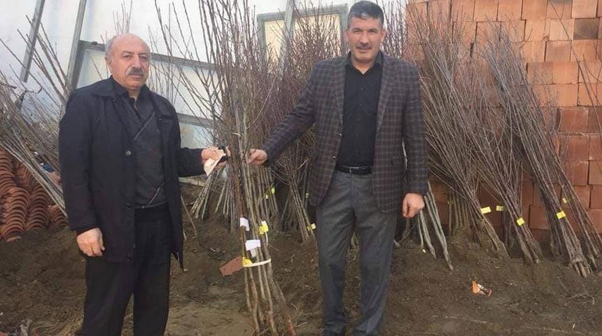 Meyve fidanı satışına başlanıldı