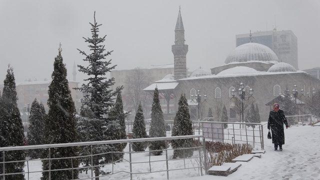 Erzurum'da kar yağışı