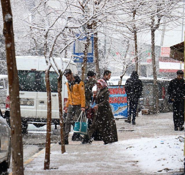 Van’da lapa lapa kar yağışı