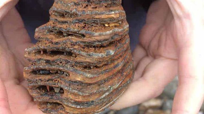 İlkokul öğrencisinden 40 bin yıllık çok ender keşif!