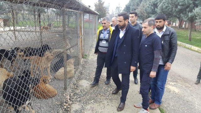 Nasıranlı, hayvan bakım evi ve rehabilitasyon merkezini gezdi