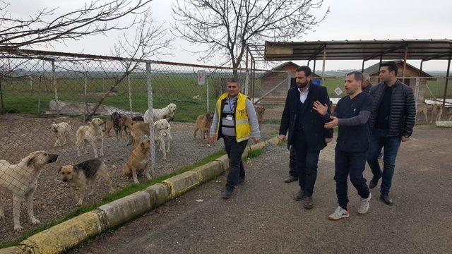 Nasıranlı, hayvan bakım evi ve rehabilitasyon merkezini gezdi