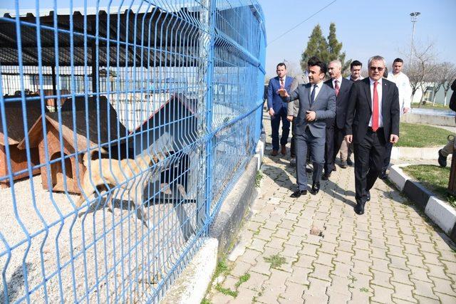 Vali Deniz’den Hayvan Bakım ve Tedavi Merkezi’ne tam not