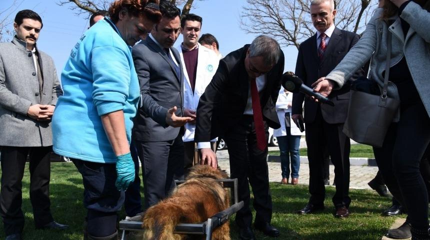 Vali Deniz’den Hayvan Bakım ve Tedavi Merkezi’ne tam not
