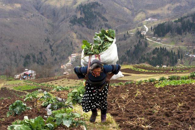 Karadenizli kadınlar, her mevsim &ccedil;alışkan 4