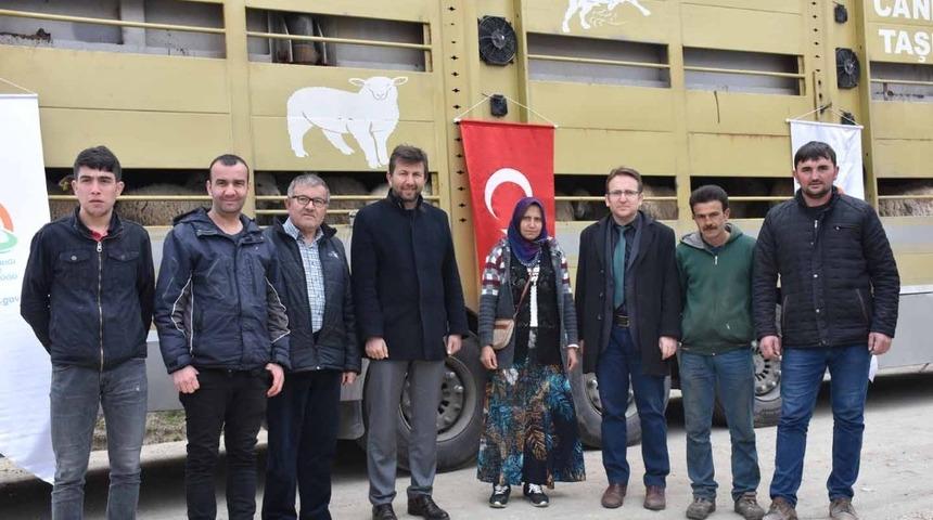 Pazarlar&rsquo;da 5 gen&ccedil; &ccedil;ift&ccedil;iye damızlık koyun