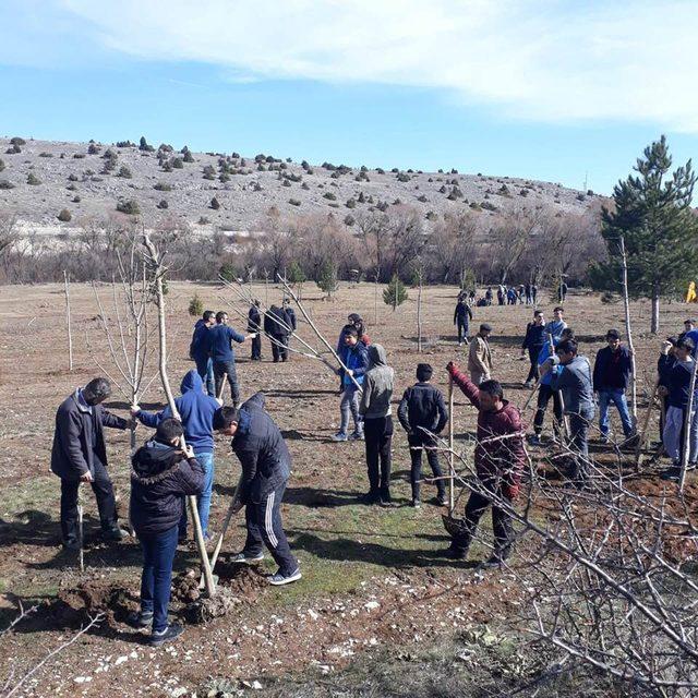 400 fidan toprakla buluştu