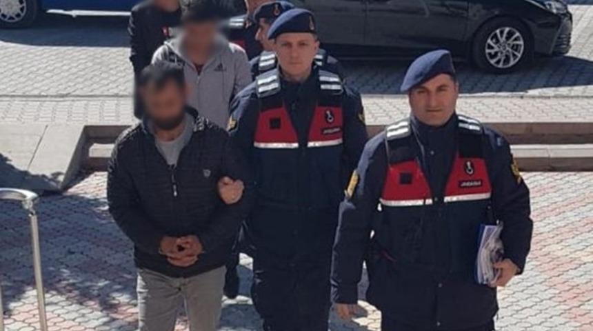 Hayvan hırsızları tutuklandı