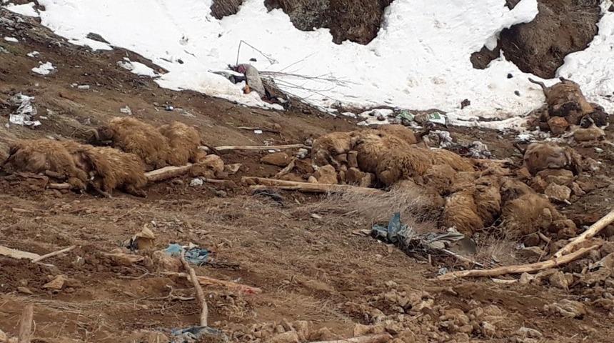 &Ccedil;atak&rsquo;ta ahır &ccedil;&ouml;kt&uuml;: 43 hayvan telef oldu