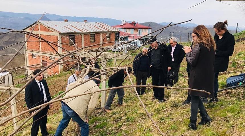 Kivi &uuml;reticilerine uygulamalı eğitim