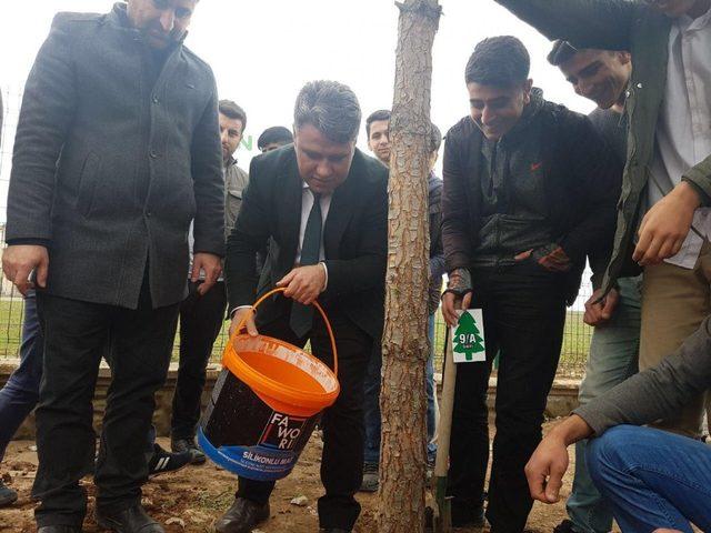 Bismil’de okullar yeşilleniyor