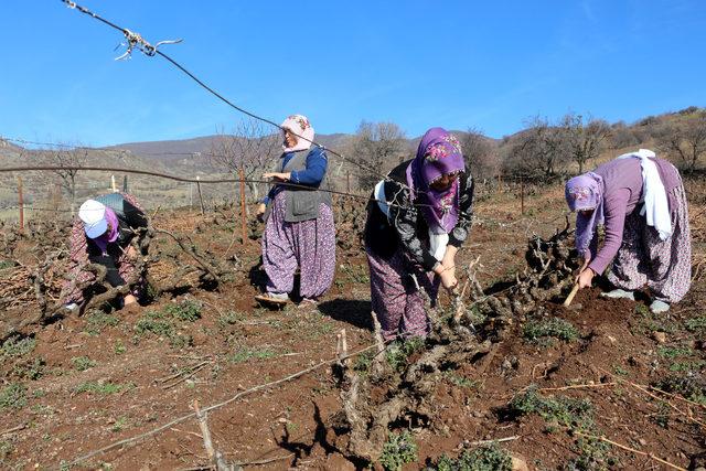 Tarlada çalışan kadınlara pastalı kutlama