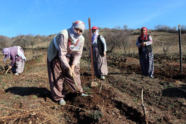 Tarlada çalışan kadınlara pastalı kutlama