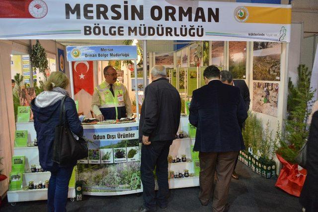 Mersin Orman Bölge Müdürlüğü fuarda fidan dağıtacak