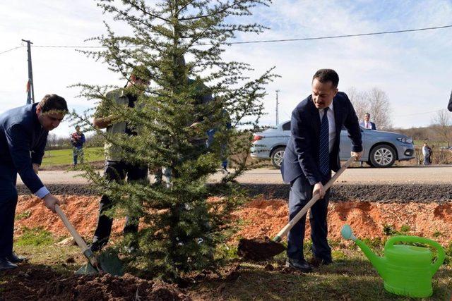 Bilecik’in köyleri fidanlarla renklenecek