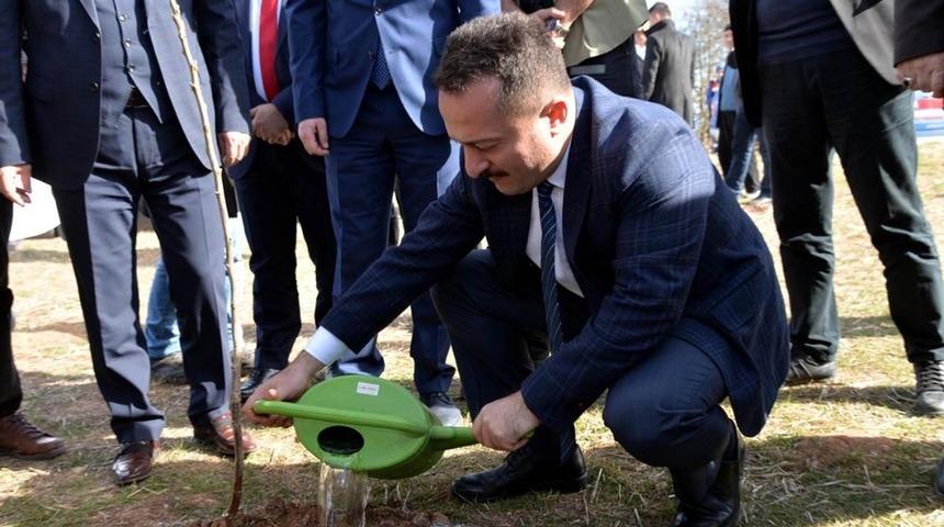 Bilecik&rsquo;in k&ouml;yleri fidanlarla renklenecek