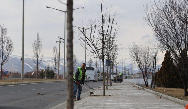 Ağaçlandırma çalışmaları başladı