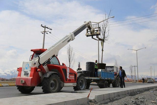 Ağaçlandırma çalışmaları başladı