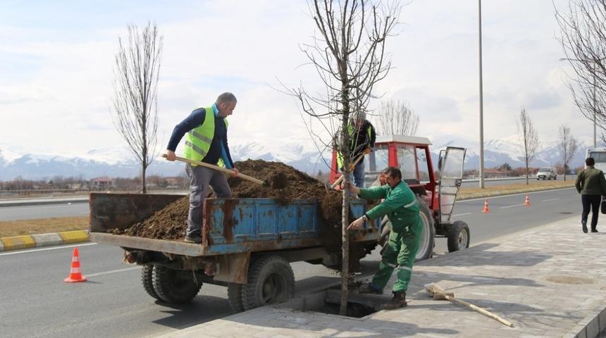 Ağa&ccedil;landırma &ccedil;alışmaları başladı