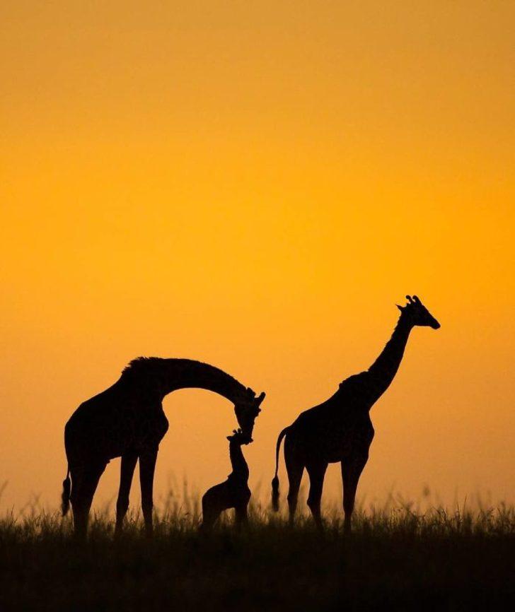 National Geographic'in Instagram'dan yaptığı yarışmadan en çarpıcı 30 fotoğraf G4