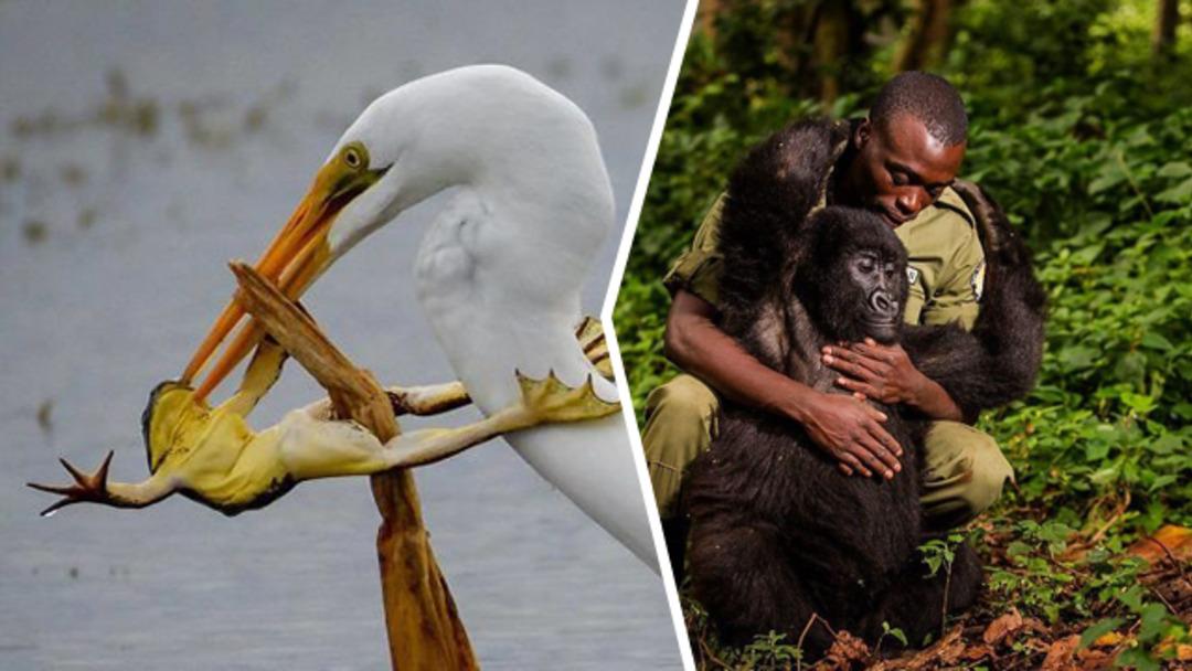 National Geographic'in Instagram'dan yaptığı yarışmadan en &ccedil;arpıcı 30 fotoğraf