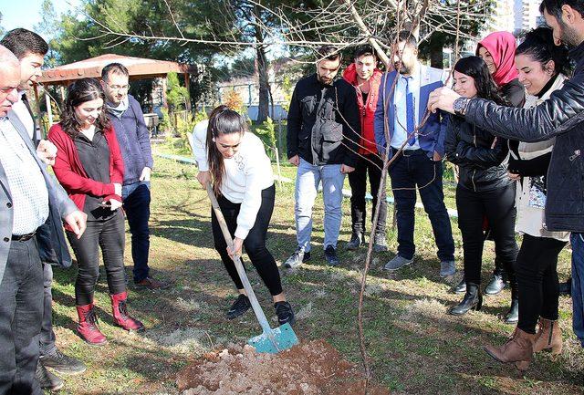 Dicle Elektrik 8 Mart Dünya Kadınlar Günü’nü kutladı