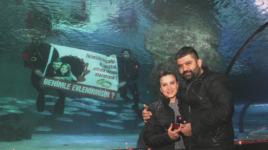Y&uuml;zme antren&ouml;r&uuml;ne dev akvaryumda evlenme teklifi s&uuml;rprizi