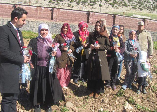 Tarlada çalışan Arabanlı kadınlara çiçekli ziyaret