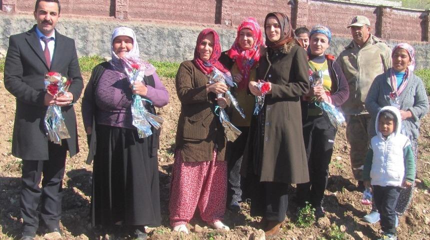 Tarlada &ccedil;alışan Arabanlı kadınlara &ccedil;i&ccedil;ekli ziyaret