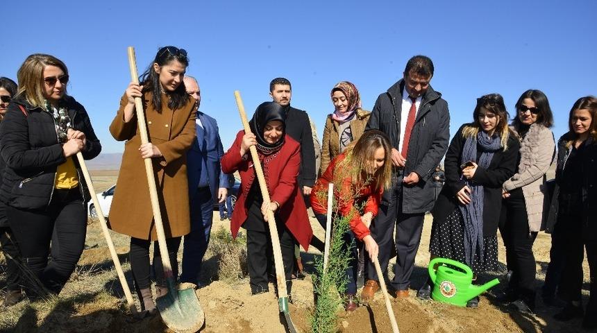 Kadınlar i&ccedil;in fidan diktiler