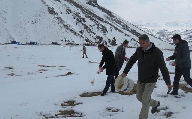 Otlukbeli’de yaban hayvanları için doğaya yem bırakıldı