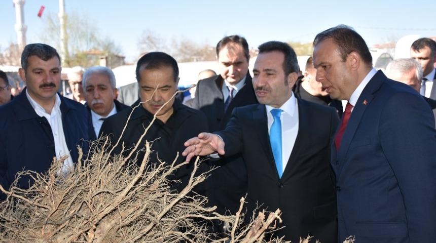 Aksaray&rsquo;da &ccedil;ift&ccedil;iye 20 bin 885 meyve fidanı dağıtıldı