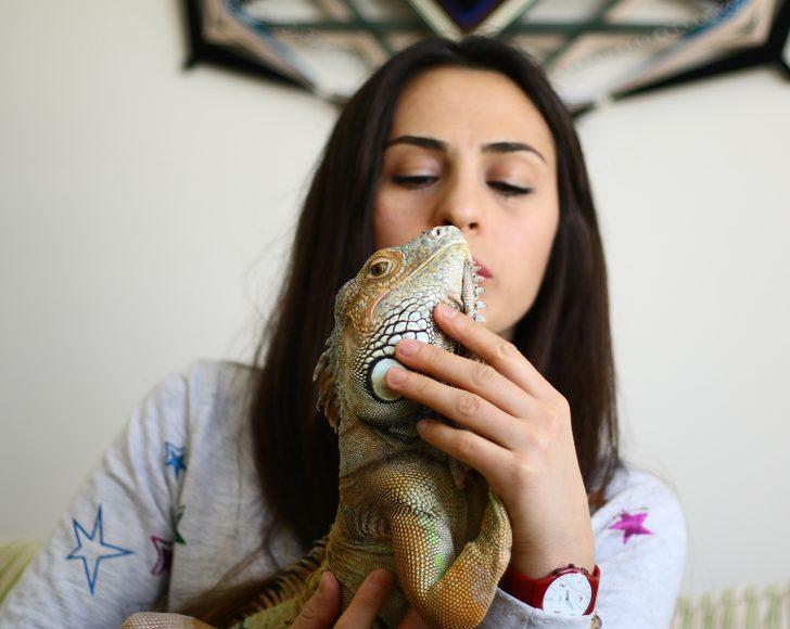 Ankara'daki evinde dev iguanayla birlikte yaşıyor G4