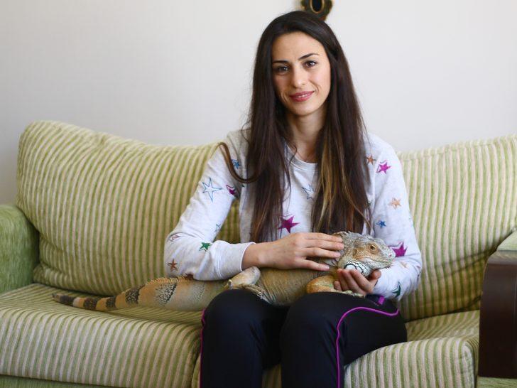 Ankara'daki evinde dev iguanayla birlikte yaşıyor G5