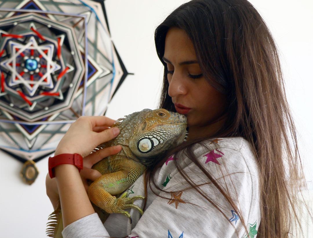 Ankara'daki evinde dev iguanayla birlikte yaşıyor
