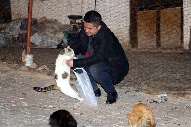 Baba felç olunca, sokak kedilerinin bakımını oğlu üstlendi