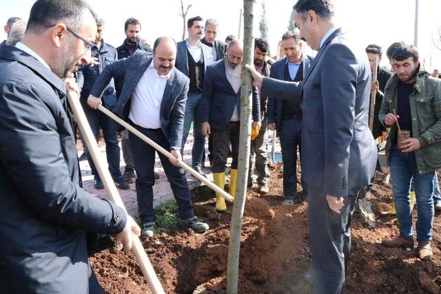 Çiftçi, Siverek’te vadi parkını inceledi