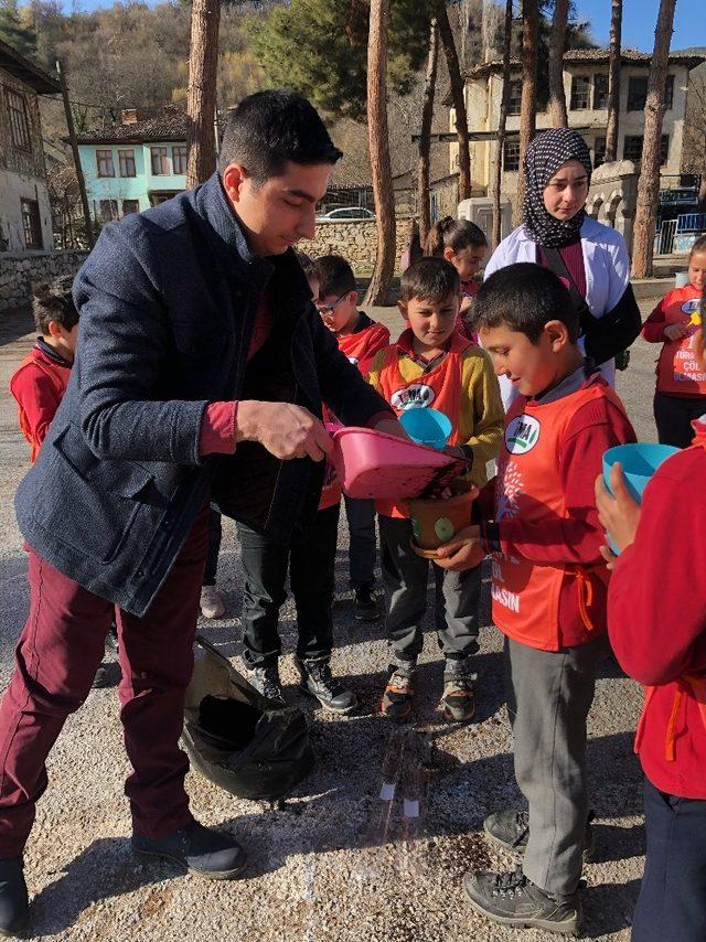 Kargı TEMA’dan ’Ağaç Kardeşliği