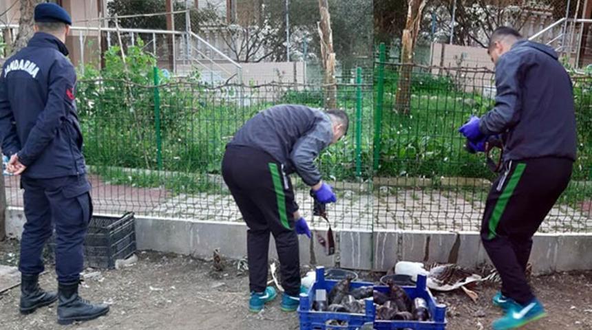 Fo&ccedil;a&rsquo;da 6 kaz işkence edilerek &ouml;ld&uuml;r&uuml;ld&uuml;