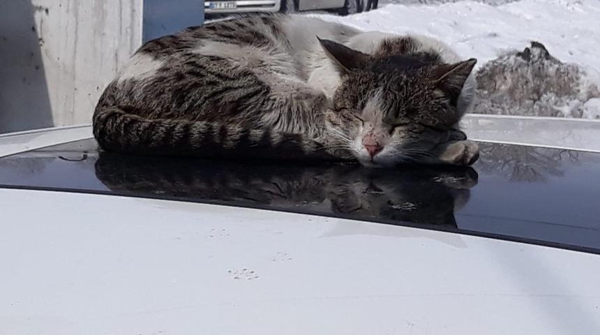 T&uuml;rkiye&rsquo;nin en soğuk il&ccedil;esinde g&uuml;neş y&uuml;z&uuml;n&uuml; g&ouml;sterdi