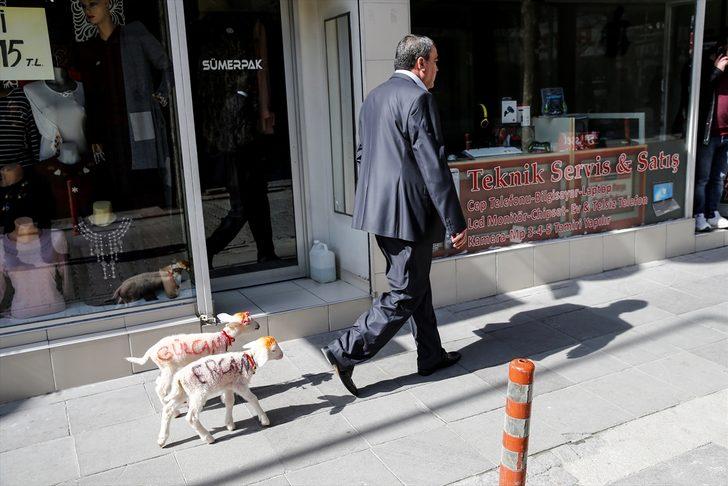 Bu tabloya veteriner bile şaşırıyor!  G5