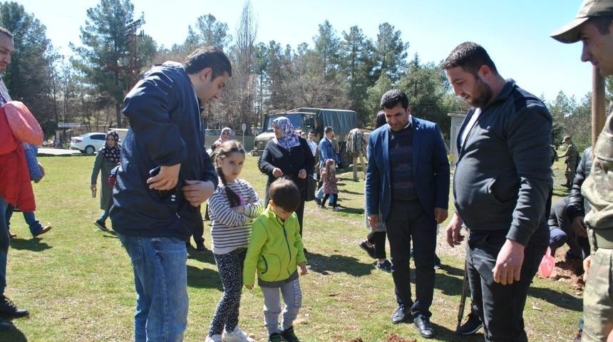 TEMA Vakfı Midyat&rsquo;ta 300 fidanı toprakla buluşturdu