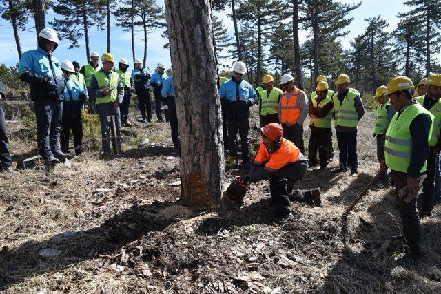 Mihalıççık Ormanlarında Üretim Tatbikatı Yapıldı