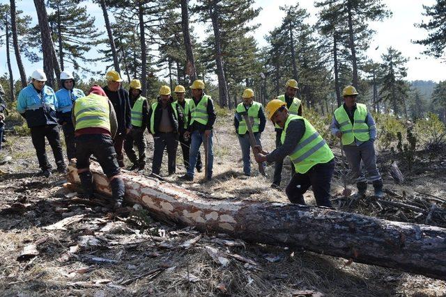 Mihalıççık Ormanlarında Üretim Tatbikatı Yapıldı