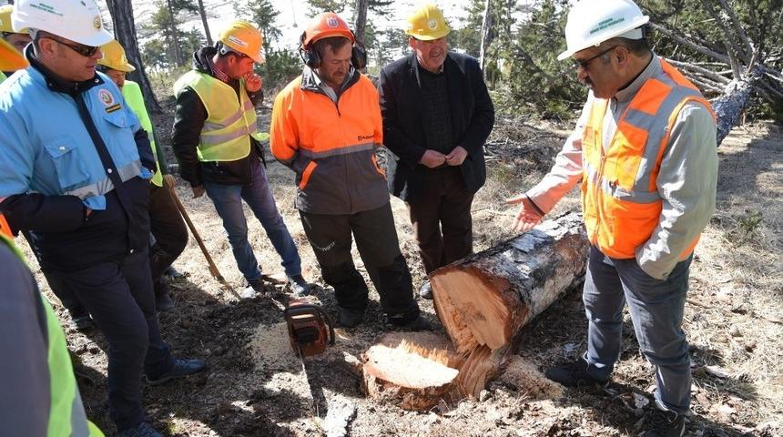 Mihalı&ccedil;&ccedil;ık Ormanlarında &Uuml;retim Tatbikatı Yapıldı