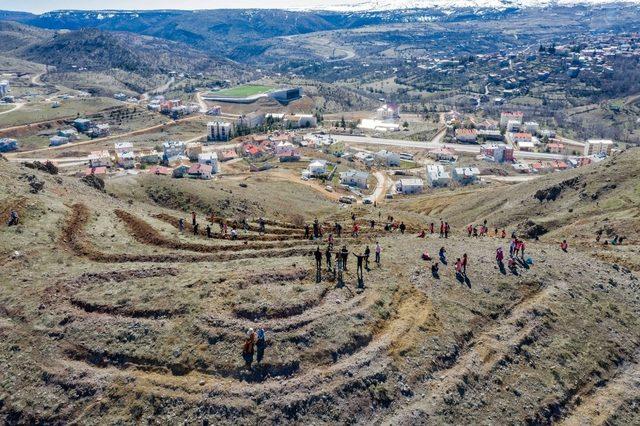 Arapgir’de  3 bin fidan toprakla buluştu